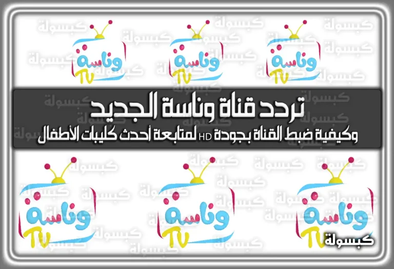 نَزل الآن تردد قناة وناسة 2025 الجديد.. إليكم الخطوات الصحيحة لتنزيل القناة على الريسيفر